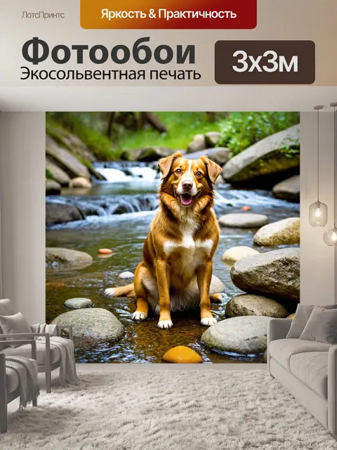 Фотообои пес, наслаждающийся моментом, сидящий на теплых камнях у ручья