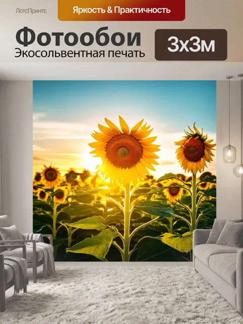 Фотообои закат над полем с подсолнухами