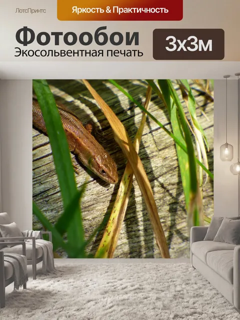 Фотообои Ящерица спальные