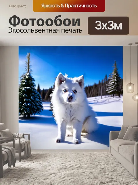 Фотообои в центре изображения находится белый поморский шпиц