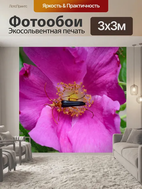 Фотообои Красный огненный жук и паук в роза