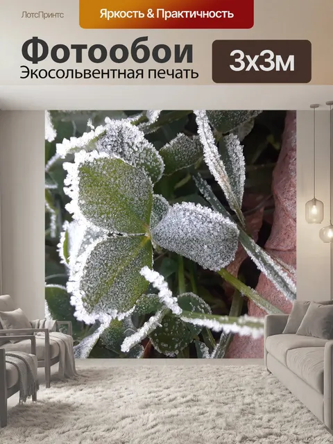 Фотообои Ледяной крытый трилистник