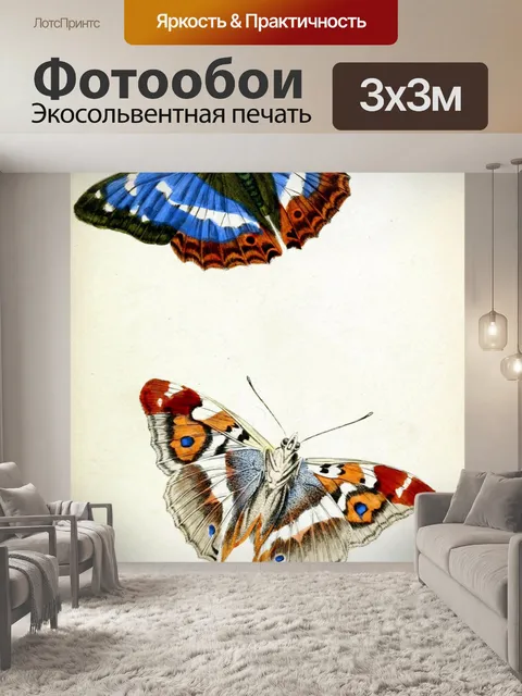Фотообои Винтажная иллюстрация бабочки