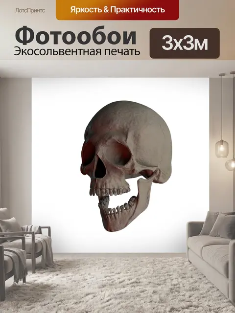 Фотообои Череп