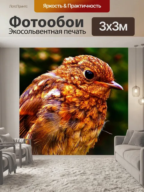 Фотообои Птица