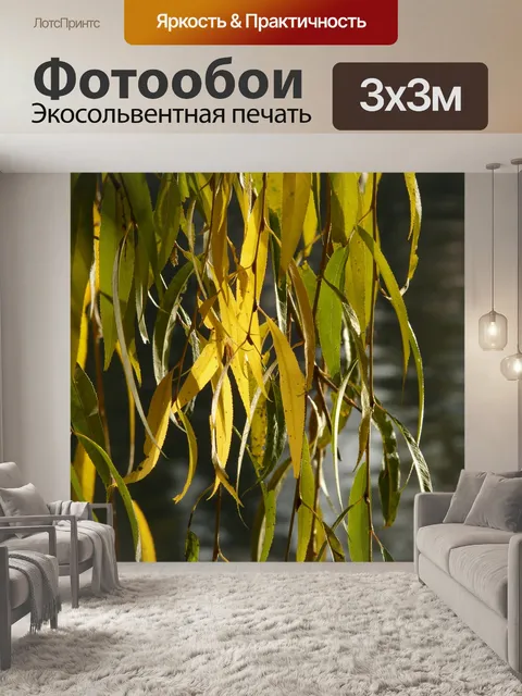 Фотообои Листья ивы