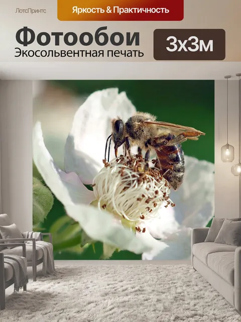 Фотообои Пчелы на цветки ежевики