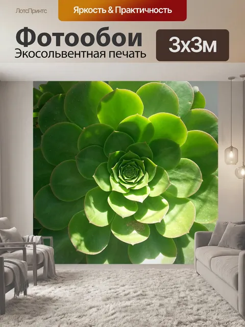 Фотообои Pi
