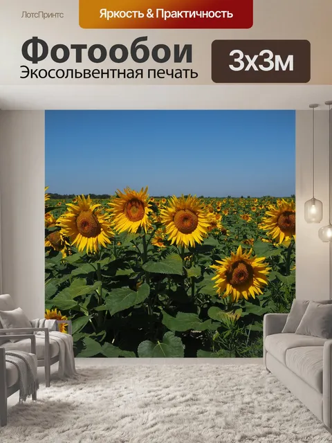 Фотообои Подсолнечное поле