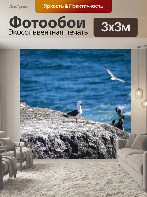 Фотообои Морские птицы