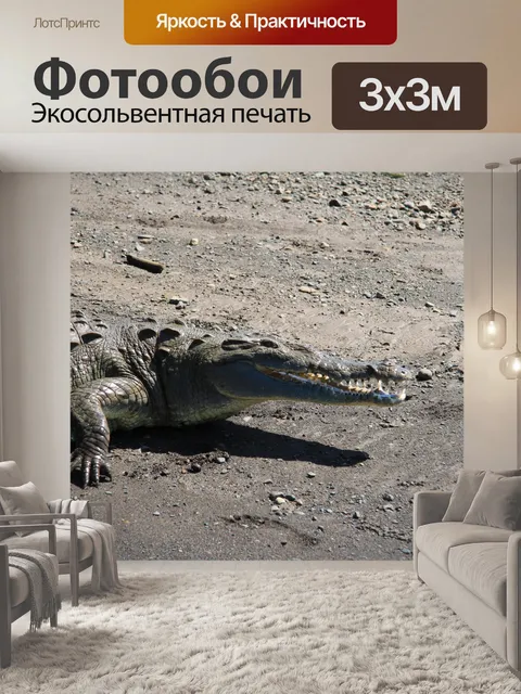 Фотообои Коста-Рика Крокодил