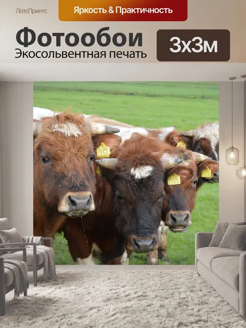 Фотообои 4 быка