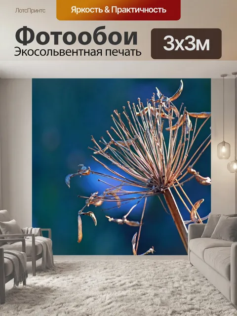 Фотообои сухая и увядшая цветочная голова
