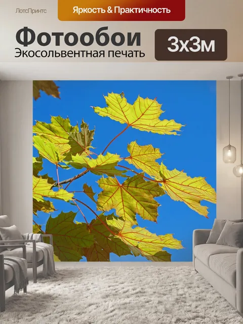 Фотообои Кленовые листья