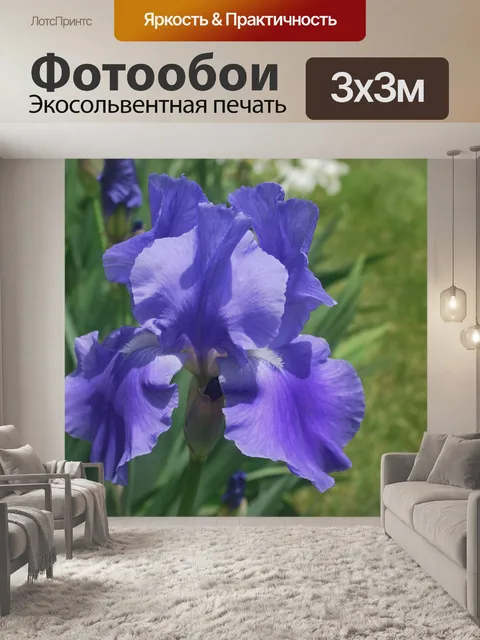 Фотообои Лаванда Iris