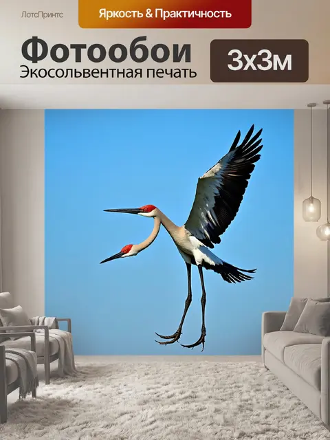 Фотообои журавль, танцующий во время брачного ритуала, его красивые движения представляют собой сочетание грации и…