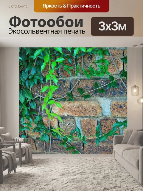 Фотообои Плющ на стене