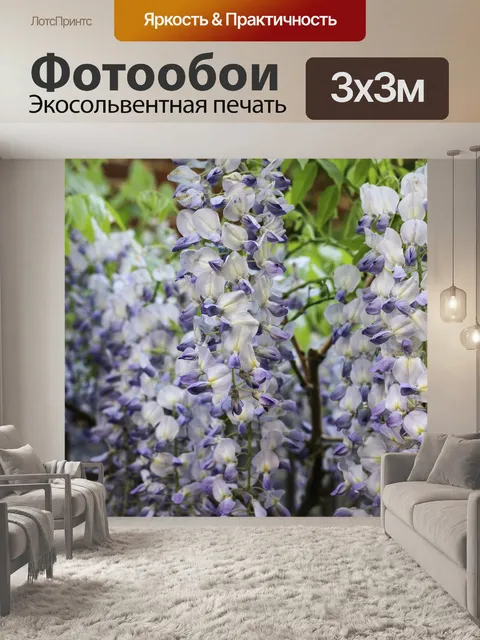 Фотообои Глициния