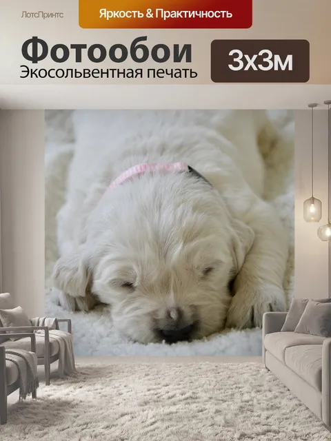Фотообои Щенок