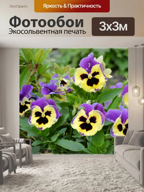 Фотообои Голландские цветы в садах 19