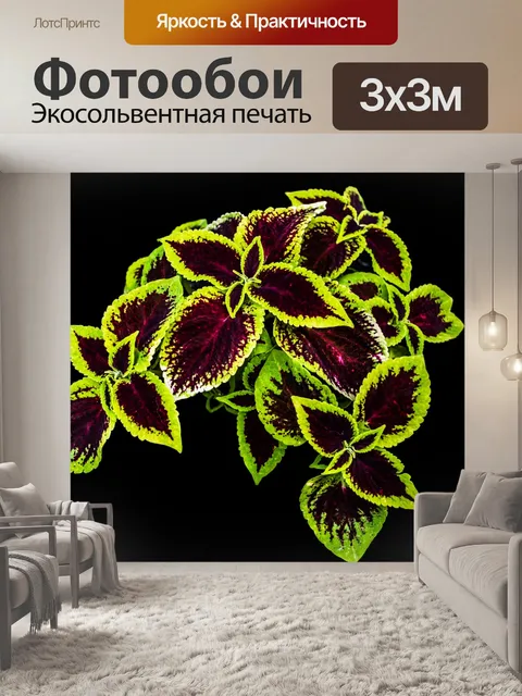 Фотообои Листья
