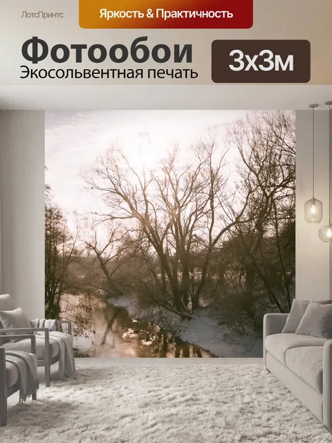 Фотообои Зимний образ, Люблин