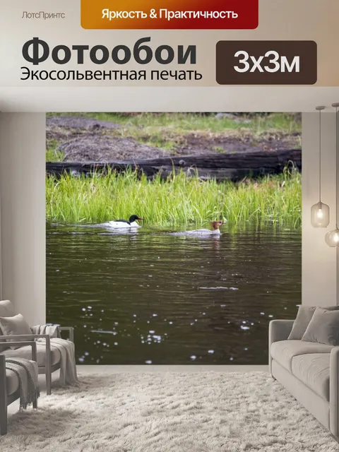 Фотообои утки купаются в реке