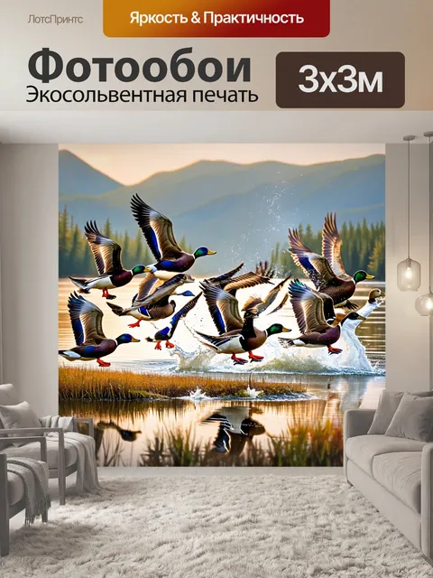 Фотообои охота: на утреннем озере встречается стая диких уток
