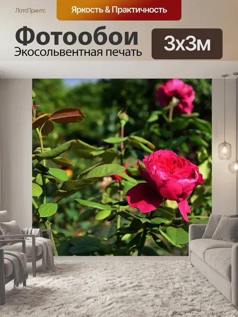 Фотообои Цветы