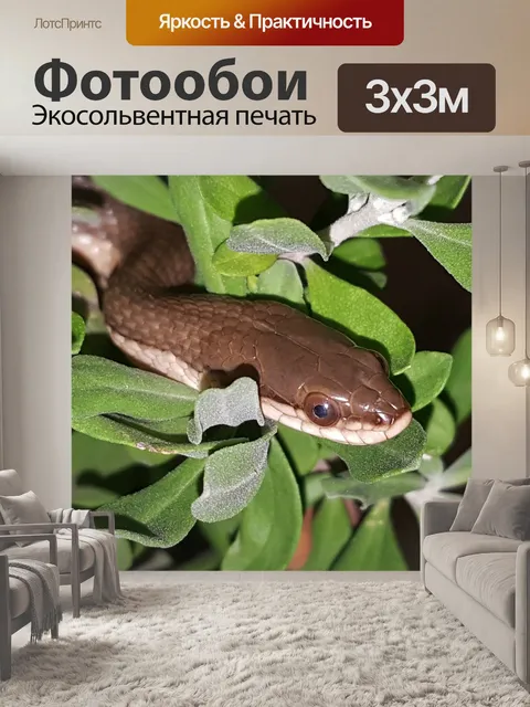 Фотообои Змея