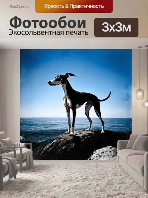 Фотообои борзая, величественно стоящая на скале, омываемой солнечными лучами, создает эффектный контраст со спокойной…
