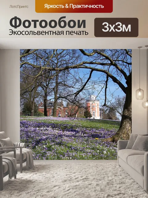Фотообои Вупперталь