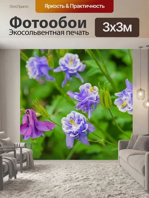 Фотообои Цветок