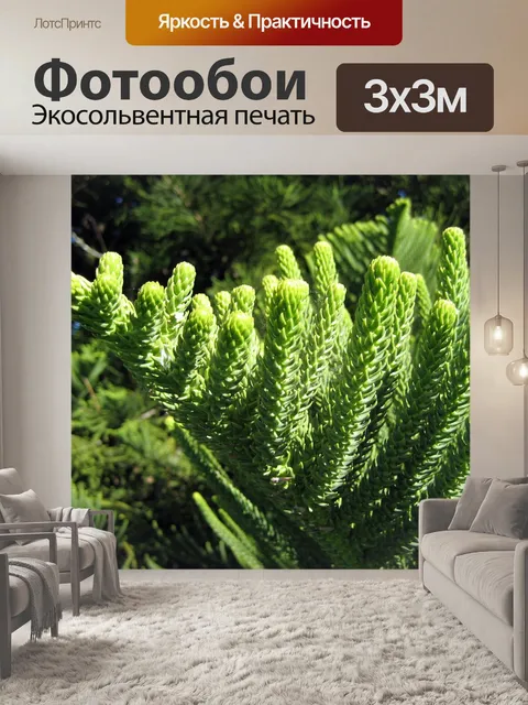 Фотообои Зеленые ветки