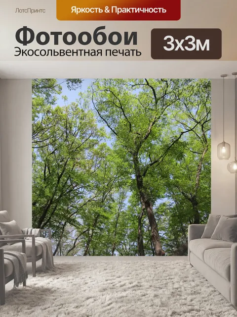 Фотообои Лес