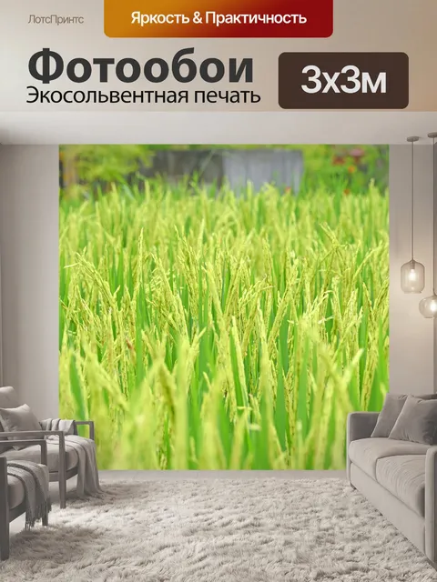 Фотообои Убуд