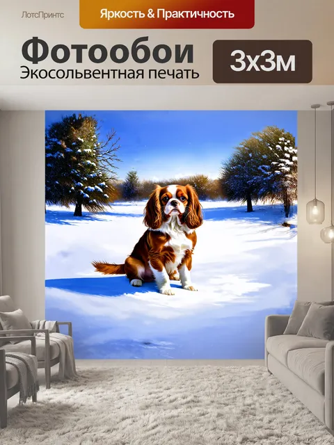 Фотообои кавалер кинг чарльз, сидящий среди снежных просторов в зимний день, вызывает ощущение спокойствия и…