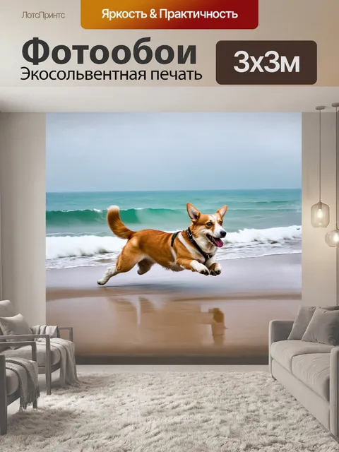 Фотообои корги бежит по тайваньскому пляжу во время шторма