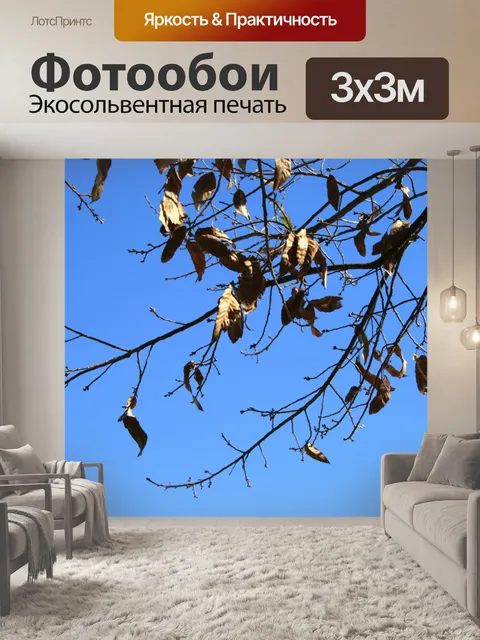 Фотообои Зимой листья