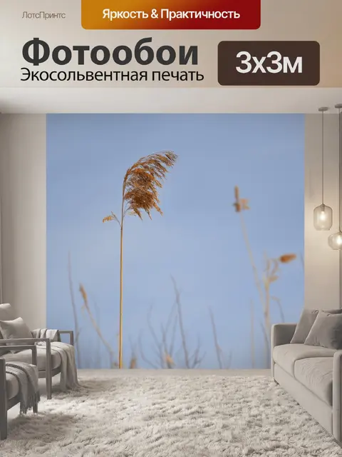 Фотообои Трава