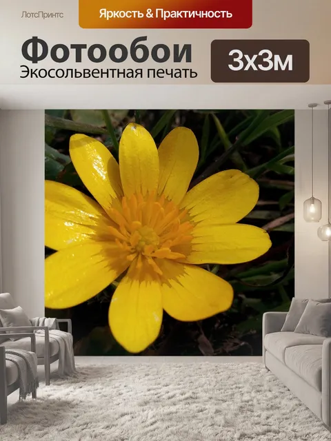 Фотообои Цветы