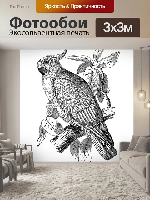 Фотообои Какаду
