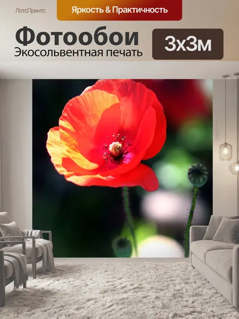 Фотообои Цветок