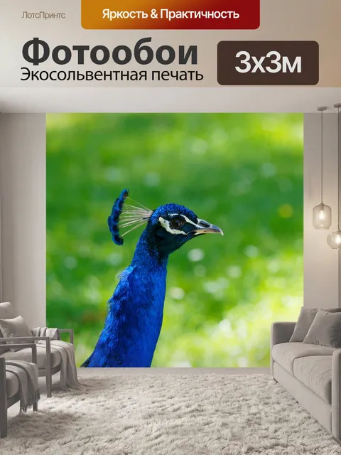 Фотообои Животное