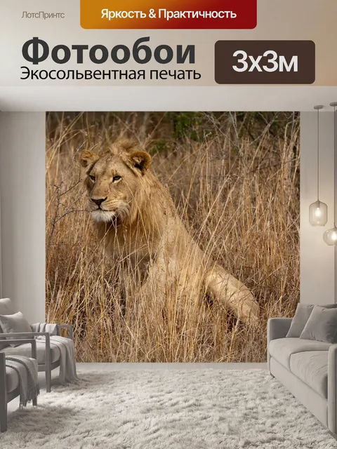 Фотообои Лев