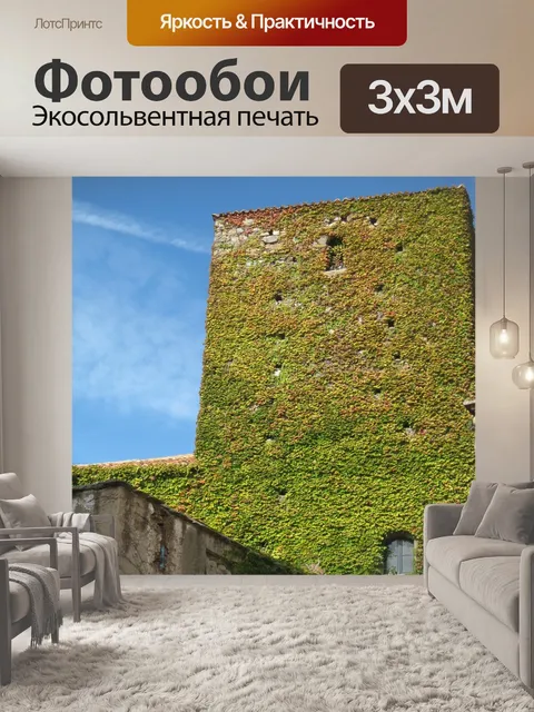 Фотообои Зеленый