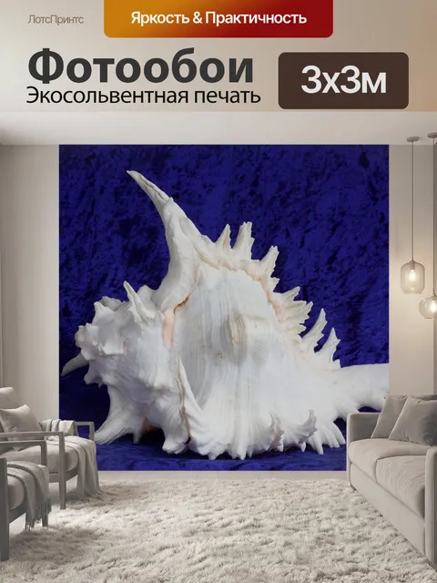 Фотообои Морские улитки