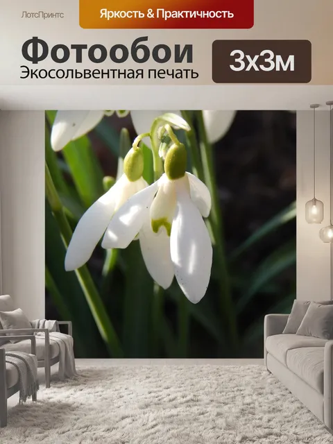 Фотообои Цветы