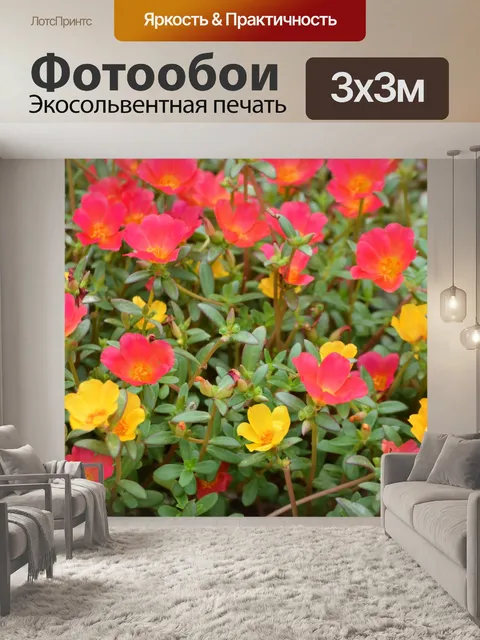 Фотообои Летние цветы
