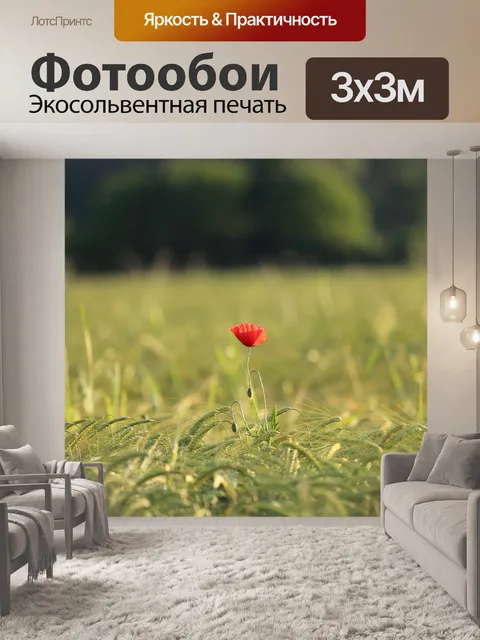 Фотообои Один красный мак